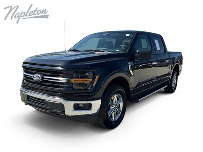 Used 2025 Ford F150 XLT w/ Equipment Group 301A Standard