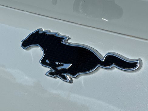 New 2025 Ford Mustang Mach-E Premium image 8