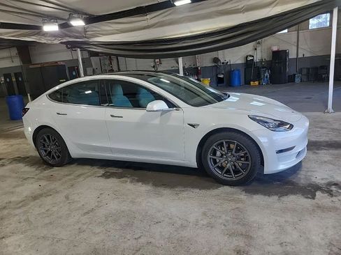 Used 2019 Tesla Model 3 Standard Range Plus image 2
