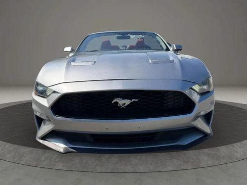Used 2020 Ford Mustang Premium RWD image 2