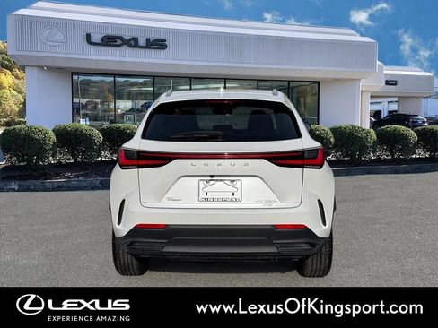 Used 2023 Lexus NX 350h AWD image 5