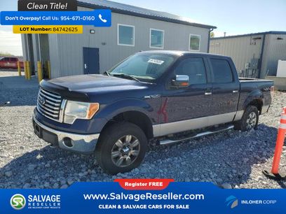 Used 2010 Ford F150 4x4 SuperCrew