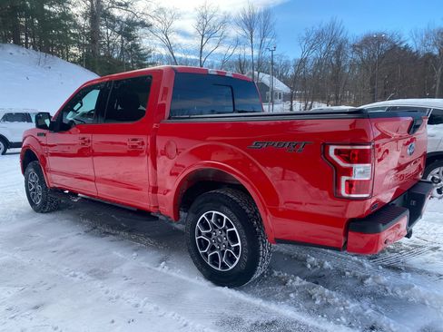 Used 2019 Ford F150 XLT w/ Equipment Group 302A Luxury image 3