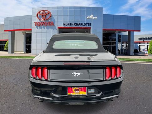 Used 2019 Ford Mustang Premium image 8