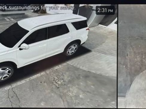 Used 2024 Hyundai Palisade Calligraphy image 45