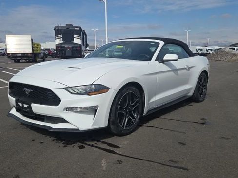 Used 2023 Ford Mustang Premium image 14