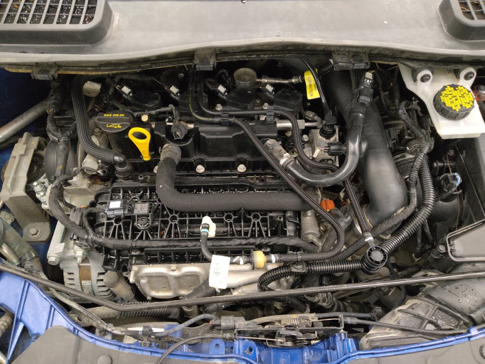 Used 2019 Ford Escape SE FWD image 30