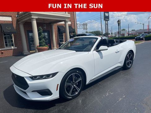 Used 2025 Ford Mustang Premium RWD image 1