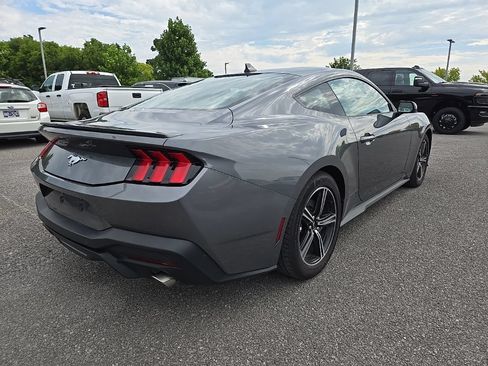 Used 2025 Ford Mustang Premium RWD image 7