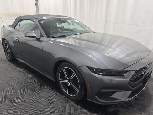 Used 2025 Ford Mustang Premium RWD image 3