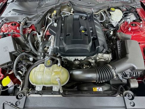Used 2016 Ford Mustang Premium w/ Pony Package RWD image 20