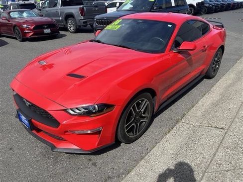 Used 2018 Ford Mustang Coupe w/ Equipment Group 101A RWD image 5