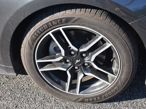 Used 2019 Ford Mustang Premium RWD image 11