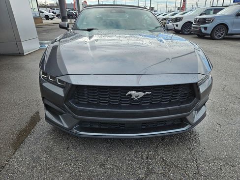 Used 2024 Ford Mustang Premium image 9