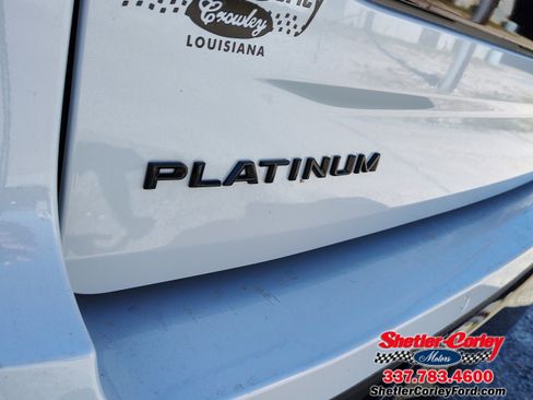 New 2025 Ford Expedition Max Platinum w/ Stealth Performance Package image 4