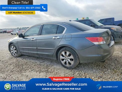 Used 2010 Honda Accord EX-L image 3
