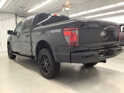 Used 2024 Ford F150 STX w/ STX Black Appearance Package