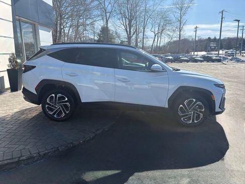 Used 2025 Hyundai Tucson Limited image 8