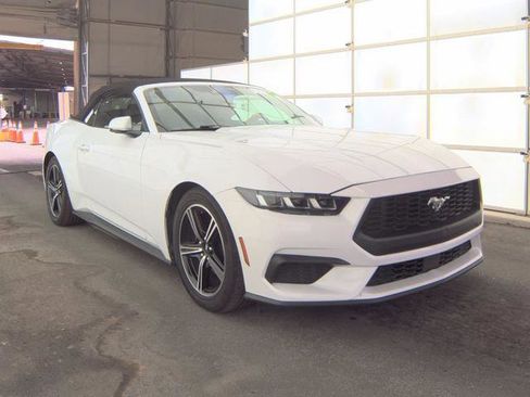 Used 2024 Ford Mustang Premium RWD image 2