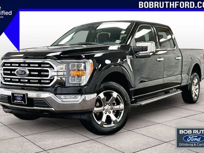 Certified 2023 Ford F150 XLT w/ Equipment Group 302A High