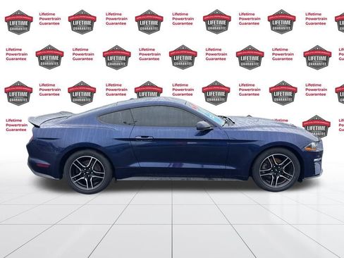 Used 2019 Ford Mustang Premium image 4