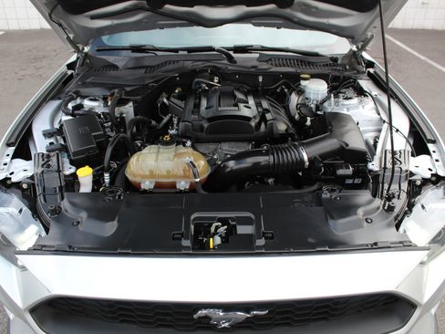 Used 2019 Ford Mustang Coupe w/ Equipment Group 101A image 9