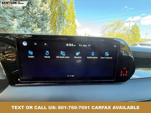 Used 2025 Hyundai Palisade Calligraphy AWD/4WD image 28