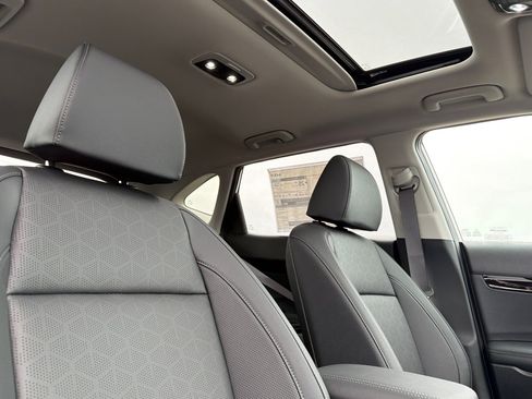 New 2026 Kia Seltos SX w/ SX Sunroof Package image 15
