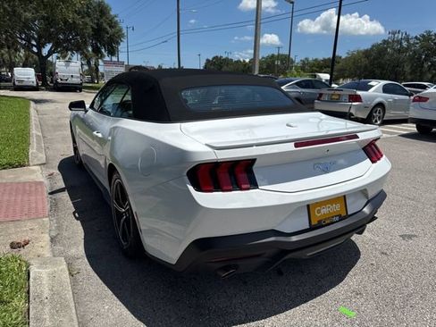 Used 2024 Ford Mustang Premium RWD image 5