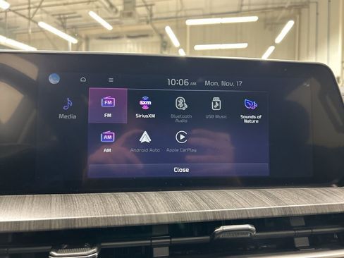 New 2025 Kia Telluride EX image 19