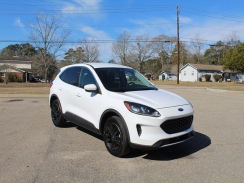 Used 2020 Ford Escape SE image 2