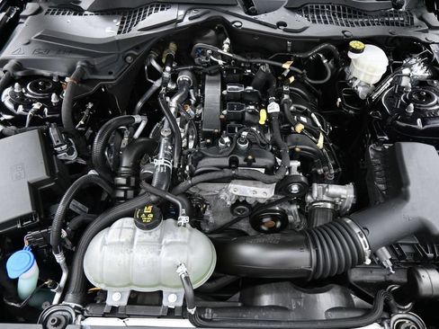 Used 2021 Ford Mustang Coupe w/ Equipment Group 101A RWD image 16