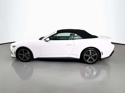 Used 2024 Ford Mustang Premium