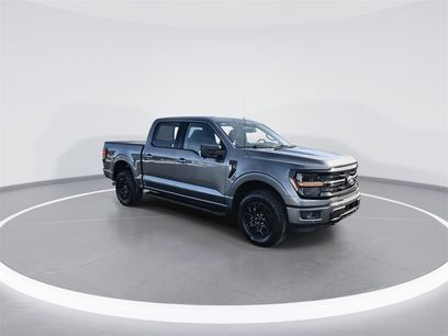 New 2025 Ford F150 XLT w/ Equipment Group 302A MID