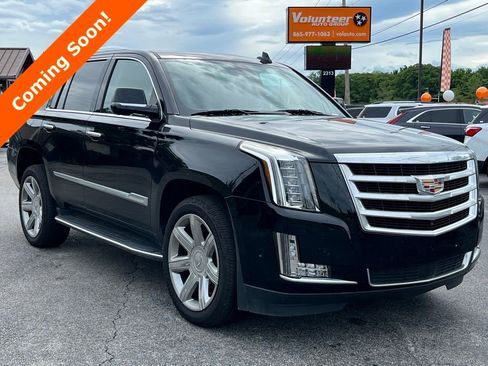 Used 2020 Cadillac Escalade Premium Luxury AWD/4WD image 1