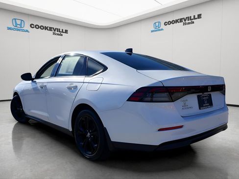 Used 2025 Honda Accord SE image 8