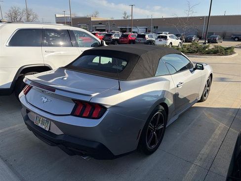 Used 2024 Ford Mustang Premium image 2