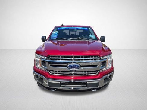 Used 2019 Ford F150 XLT w/ Equipment Group 302A Luxury AWD/4WD image 5