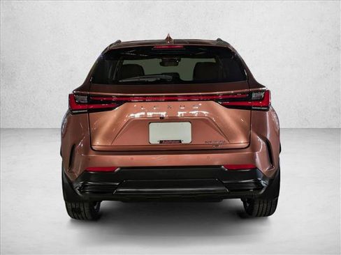 Used 2025 Lexus NX 350h AWD w/ Cold Area Package image 6