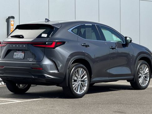 Used 2025 Lexus NX 350 AWD w/ Cold Area Package image 5