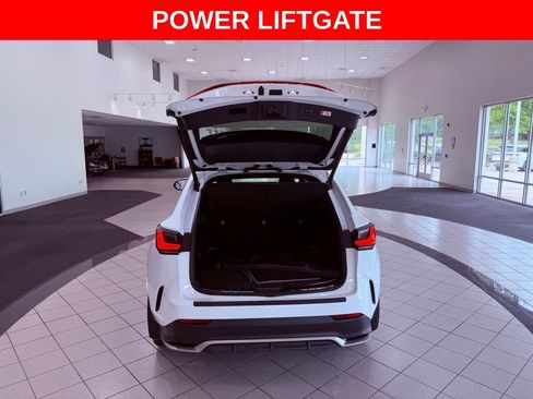 Used 2024 Lexus NX 350 F Sport AWD/4WD image 8