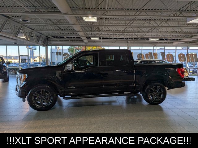 Used 2023 Ford F150 XLT w/ Equipment Group 302A High AWD/4WD image 5