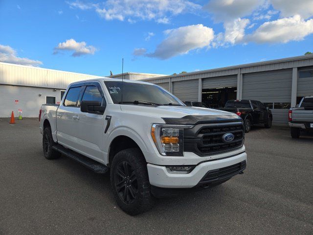 Used 2021 Ford F150 XLT w/ Equipment Group 302A High AWD/4WD image 2