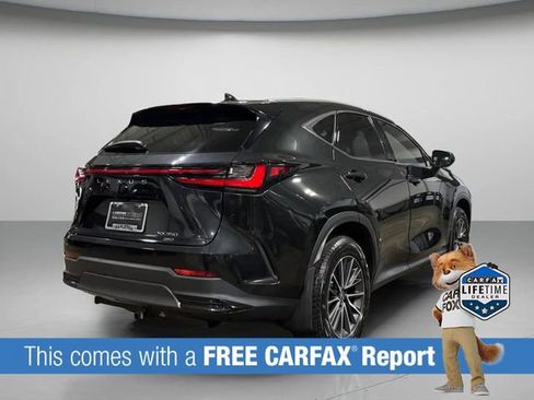 Certified 2024 Lexus NX 350 AWD w/ Cold Area Package image 5