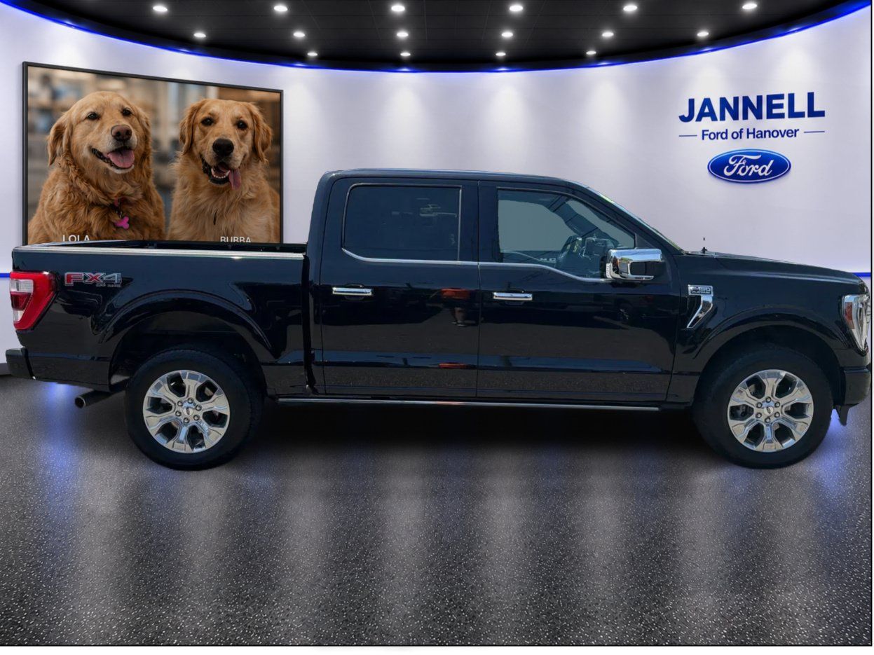 Used 2023 Ford F150 Platinum w/ Equipment Group 701A High AWD/4WD image 4