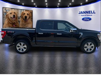 Used 2023 Ford F150 Platinum w/ Equipment Group 701A High
