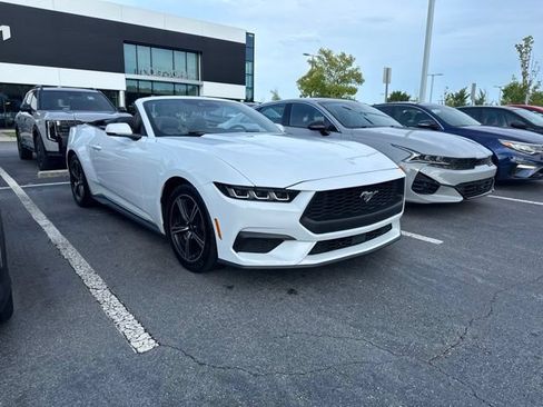 Used 2024 Ford Mustang Premium RWD image 5