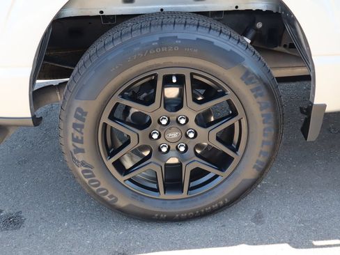 Used 2024 Ford F150 STX w/ STX Black Appearance Package RWD image 11