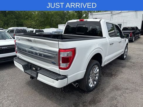 Certified 2023 Ford F150 Limited AWD/4WD image 5