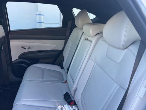 Certified 2025 Hyundai Tucson Limited image 8